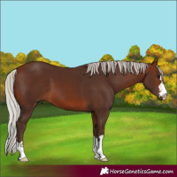 Horse Color:Silver Brown 