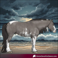 Horse Color:Smoky Grullo Sabino Tobiano