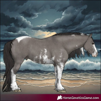 Horse Color:Smoky Grullo Sabino Tobiano