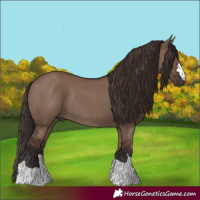 Horse Color:Liver Red Dun Rabicano 