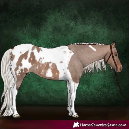 Horse Color:Silver Brown Dun Tobiano Blanket 