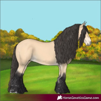 Horse Color:Buckskin