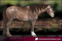 Horse Color:Gray Brown Pearl 