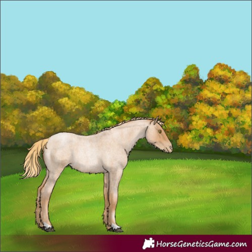 Horse Color:Red Roan Pearl 