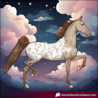 Horse Color:Classic Champagne Dun Blanket