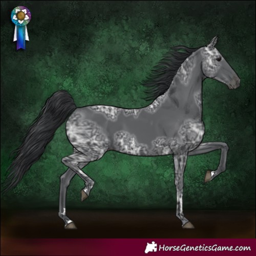 Horse Color:Black Ice 
