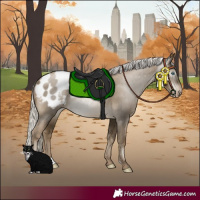 Horse Color:Gray Silver Smoky Black Pearl Appaloosa Rabicano 