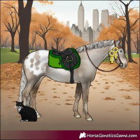 Horse Color:Gray Silver Smoky Black Pearl Blanket Rabicano 