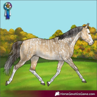 Horse Color:Buckskin Dun Sabino Splash Rabicano and Buckskin Dun Splash