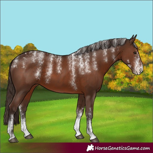 Horse Color:Powder White Liver Chestnut 
