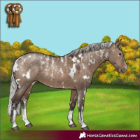 Horse Color:Powder White White Spotted Silver Brown Dun