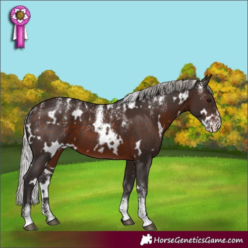 Horse Color:Powder White White Spotted Silver Brown 