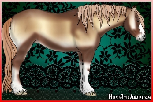 Horse Color:Red Onyx
