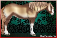 Horse Color:Red Onyx