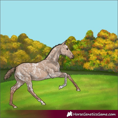 Horse Color:Red Dun Ice