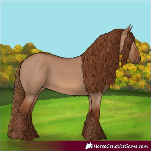 Horse Color:Red Dun 
