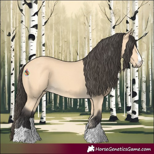 Horse Color:Buckskin 