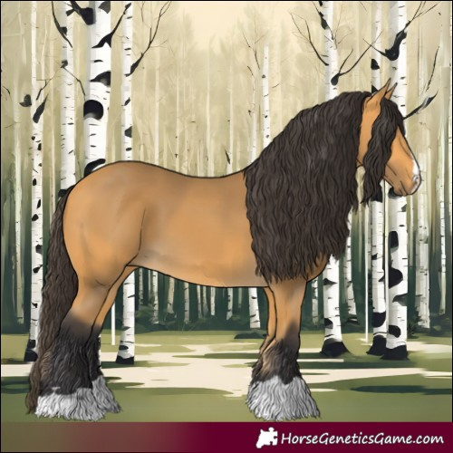 Horse Color:Buckskin