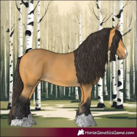 Horse Color:Buckskin 