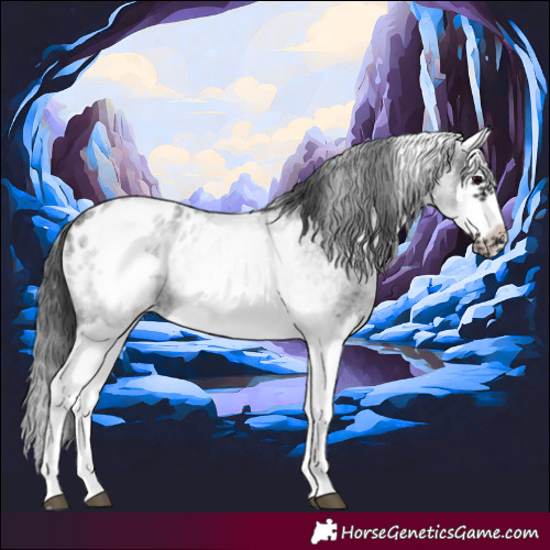 Horse Color:White Spotted Blue Roan Splash Frame Blanket 