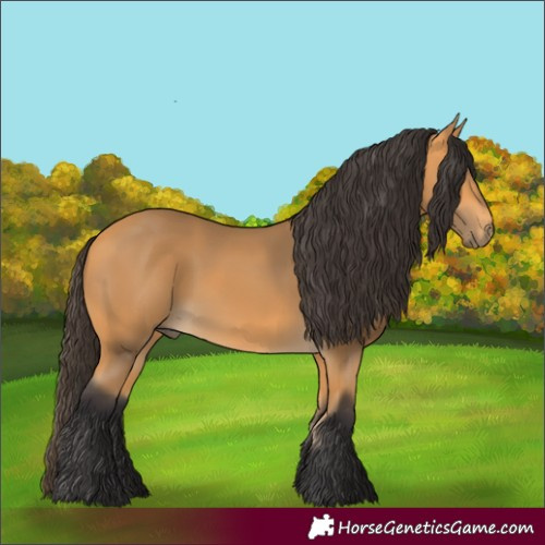 Horse Color:Buckskin 