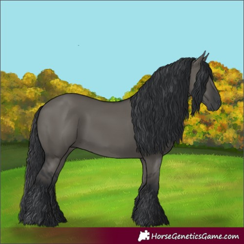 Horse Color:Grullo
