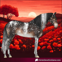 Horse Color:Brown Tobiano Appaloosa Rabicano 