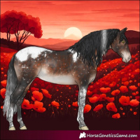 Horse Color:Brown Mushroom Tobiano Appaloosa Rabicano 