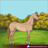 Horse Color:Red Dun