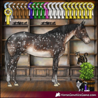 Horse Color:Brown Tobiano Appaloosa Rabicano 