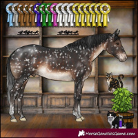 Horse Color:Brown Tobiano Appaloosa Rabicano 