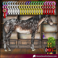 Horse Color:Brown Tobiano Snowcap Rabicano