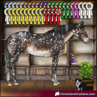 Horse Color:Brown Tobiano Appaloosa Rabicano