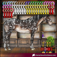 Horse Color:Brown Tobiano Snowcap Rabicano 