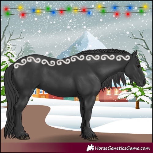 Horse Color:Black 