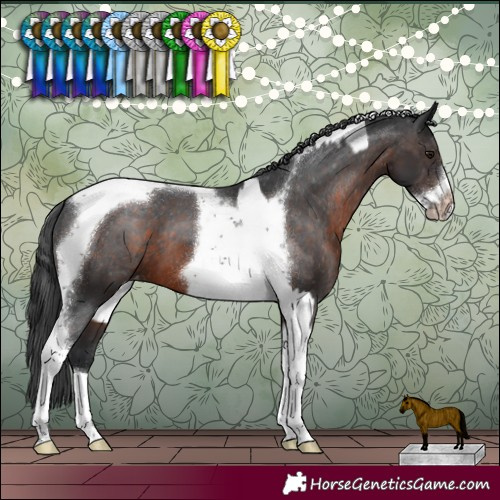Horse Color:Brown Tobiano Frame  and Brown Tobiano Frame Varnish 