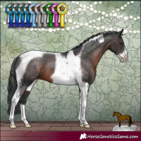 Horse Color:Brown Tobiano Frame  and Brown Tobiano Frame Varnish 