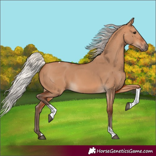 Horse Color:Silver Bay Dun Tobiano 