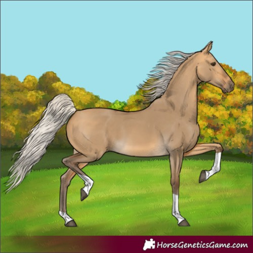 Horse Color:Silver Buckskin Dun Tobiano 