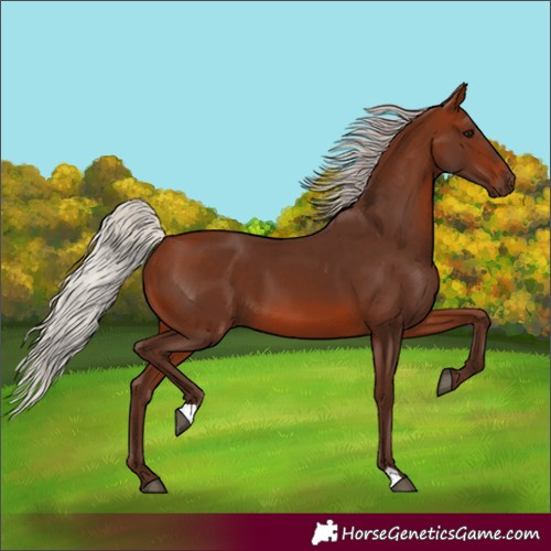 Horse Color:Silver Brown 