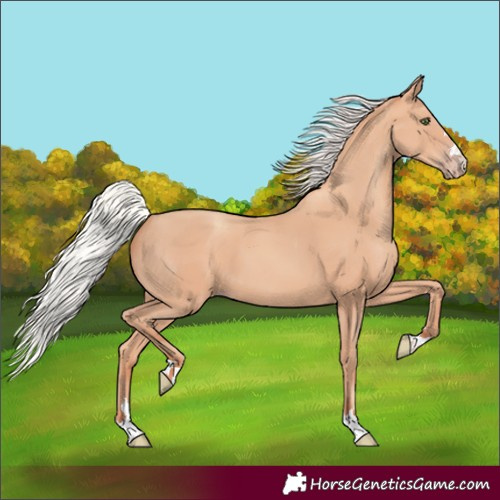 Horse Color:Silver Amber Champagne 