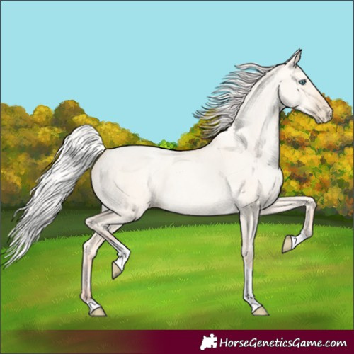 Horse Color:Silver Amber Cream Champagne Pearl Dun Tobiano 