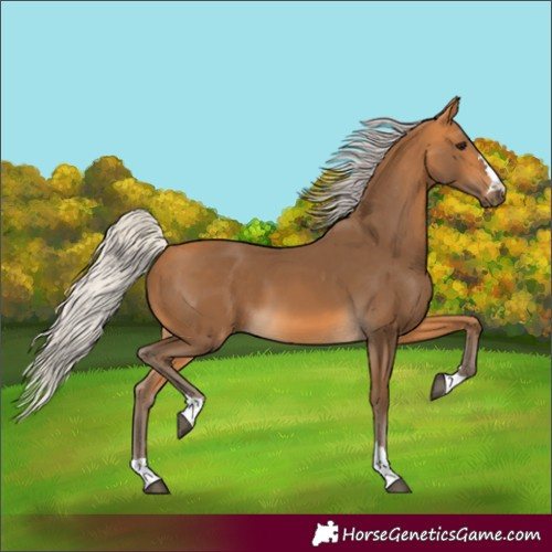 Horse Color:Silver Buckskin 