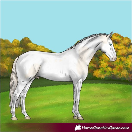 Horse Color:Amber Cream Champagne Pearl Dun Splash Tobiano 