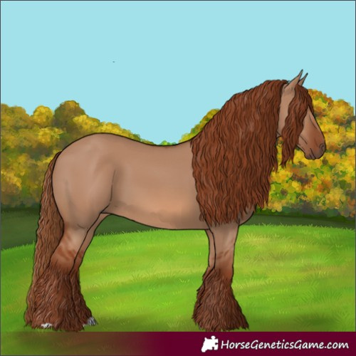 Horse Color:Red Dun 