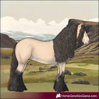 Horse Color:Buckskin 