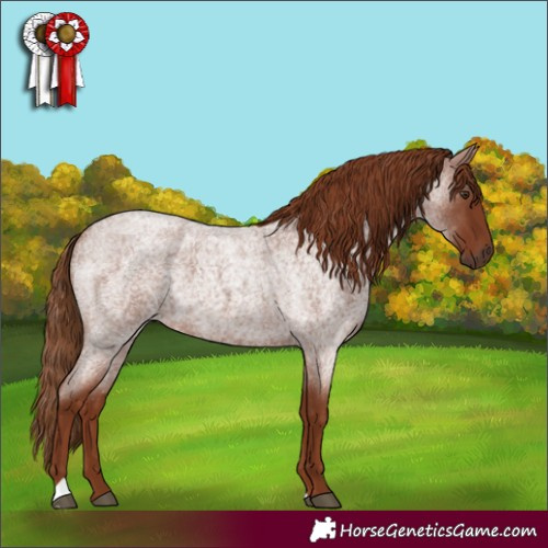 Horse Color:Red Roan 