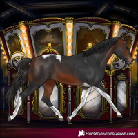 Horse Color:Bay Tobiano