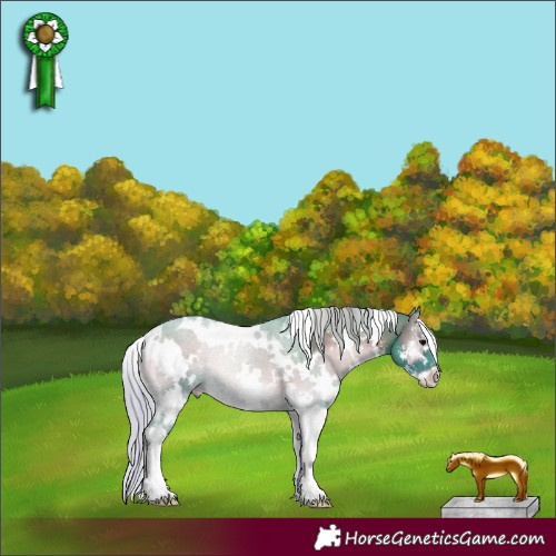 Horse Color:Watercolor White Spotted Silver Blue Onyx Sabino 