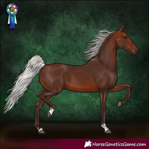 Horse Color:Silver Brown 